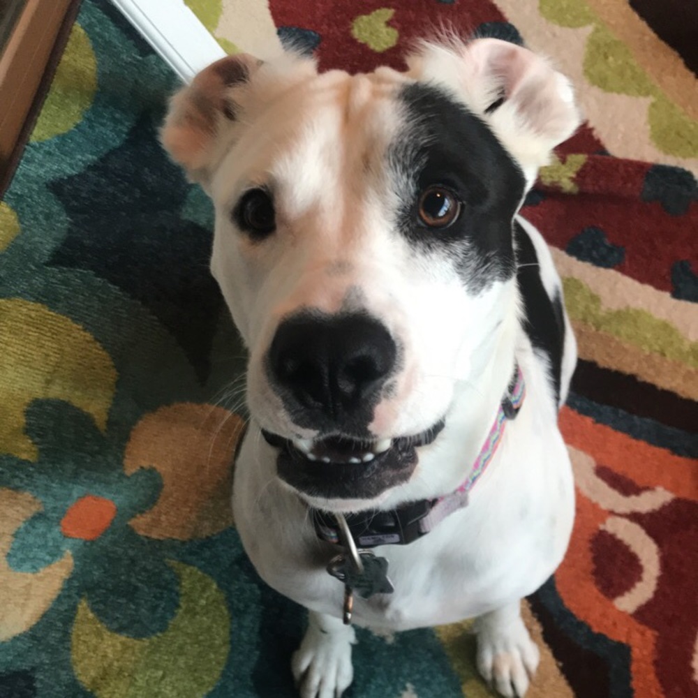 Meet your Posher, Bri